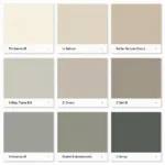 Timberwolf Color Swatches