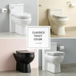 Various Toilet Color Options