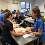 Students learning ultrasound techniques in a classroom setting