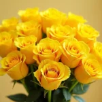 Bouquet of yellow roses