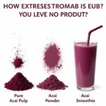 Acai Products Color Comparison: Pulp, Powder, and Smoothie