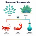 Astaxanthin Sources