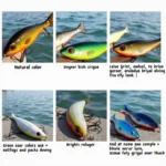 Best fishing lure colors for a sunny day