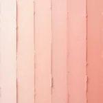 Blush Color Samples on Wall