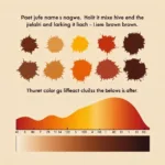 Brown Pigment vs. Light Spectrum