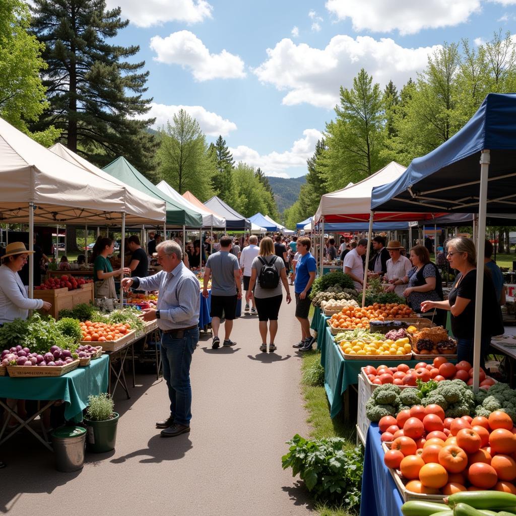 Buying Groceries in Colorado