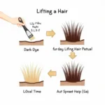 Hair Color Lifting Process