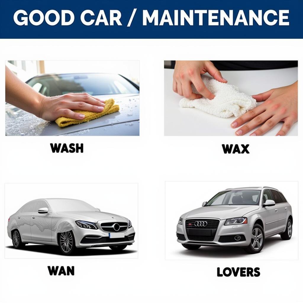 Maintaining Your Car's Paint