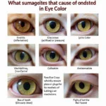 Cat eye color changes related to medical conditions