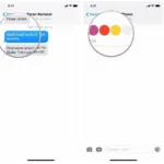 Changing iMessage Color with FancyKey App