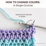 Changing Crochet Colors in Single Crochet