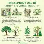 Christmas Green History and Symbolism