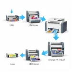 Color Laser Printer Mechanism Explained