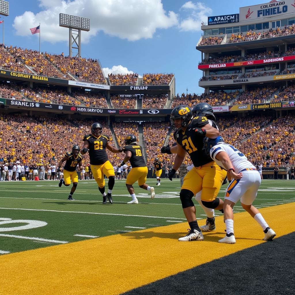 Colorado Buffaloes Football Game in Action