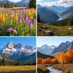 Colorado's Four Seasons Landscape