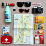 Essential Items for a Colorado Road Trip