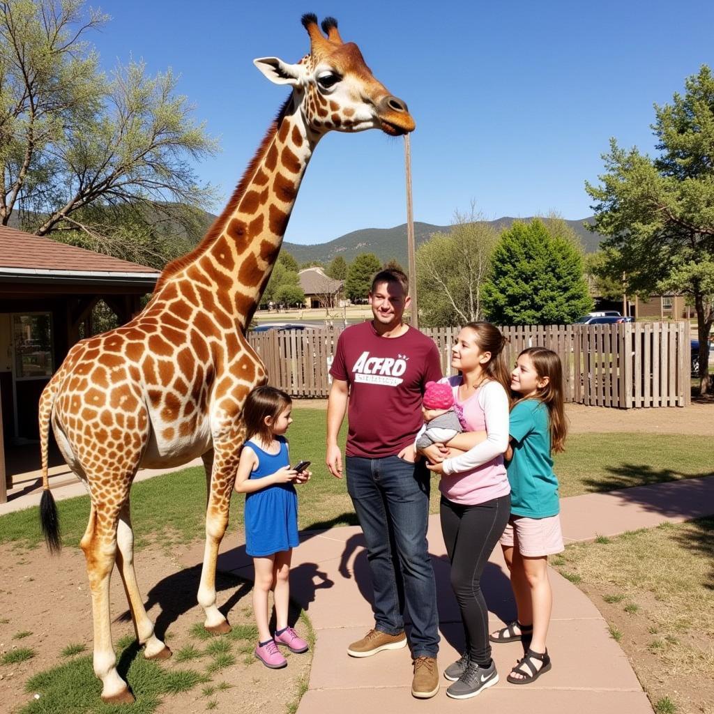 Colorado Springs Family Weekend Activities: Visiting Cheyenne Mountain Zoo