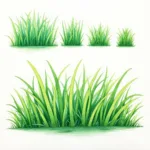 Layering and Blending Techniques for Drawing Realistic Grass