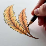 Coloring Owl Feathers with Colored Pencils