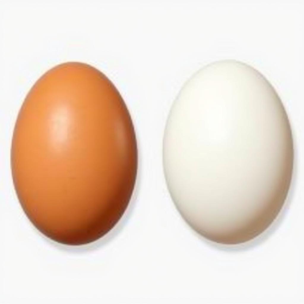 Comparing Light Brown and White Eggs