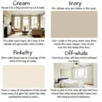 Comparing Cream with Ivory, Beige and Off-White