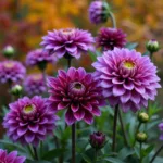 Dark Purple Flowers in Autumn