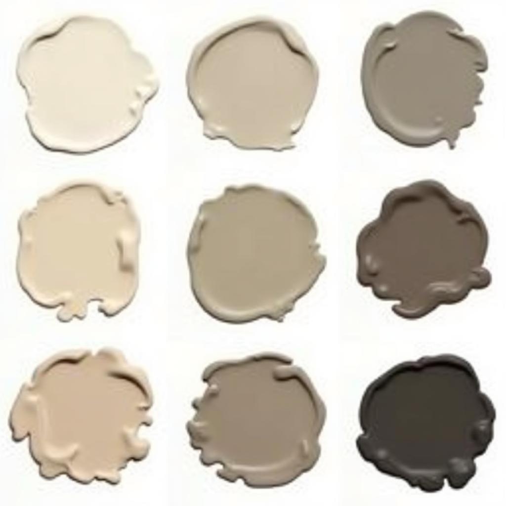 Different Shades of Chamois Paint Samples