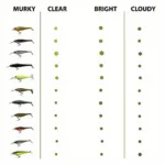 Effective Bass Lure Colors Based on Water Clarity and Light