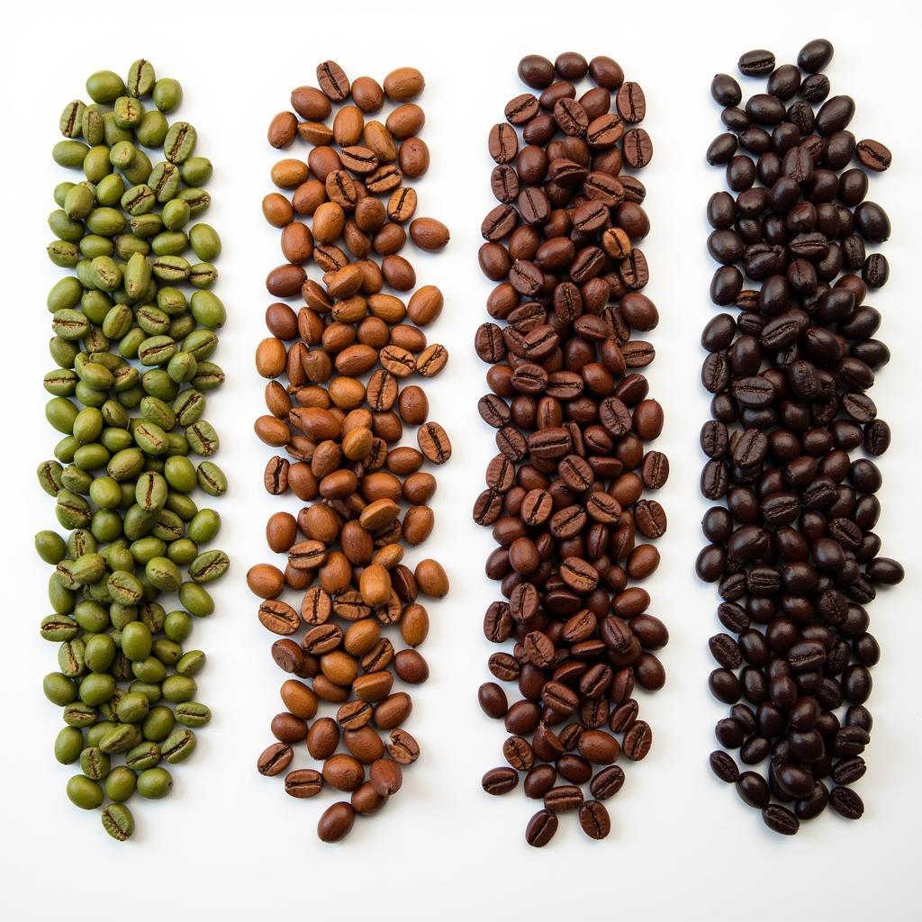 Espresso Beans Roasting Process and Color Change