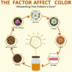 Factors Influencing Honey Color