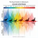 Goose Color Vision Compared to Human Vision