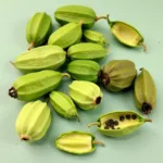 Green Cardamom Pods: Exploring Color Variations