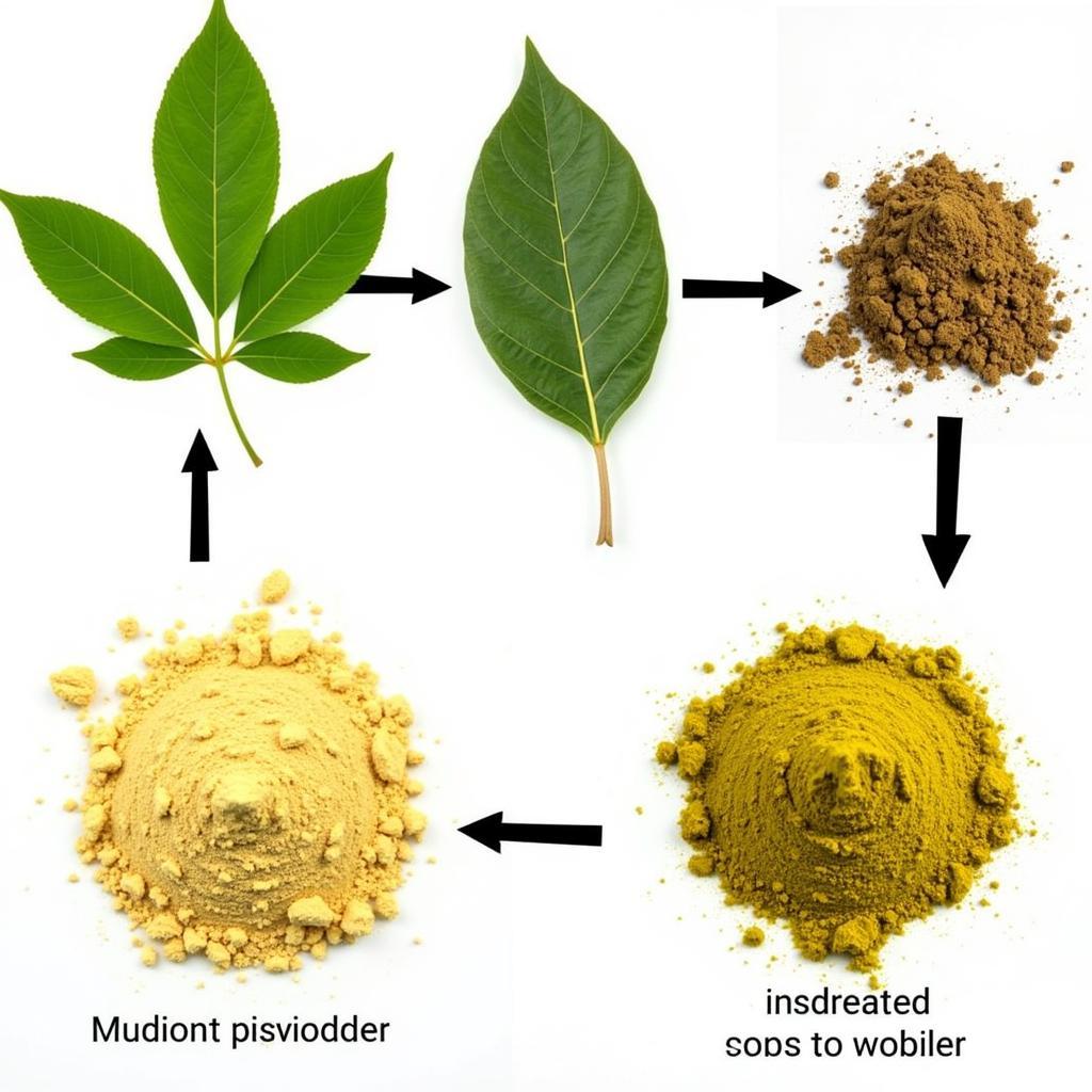 How Kratom Processing Affects Color