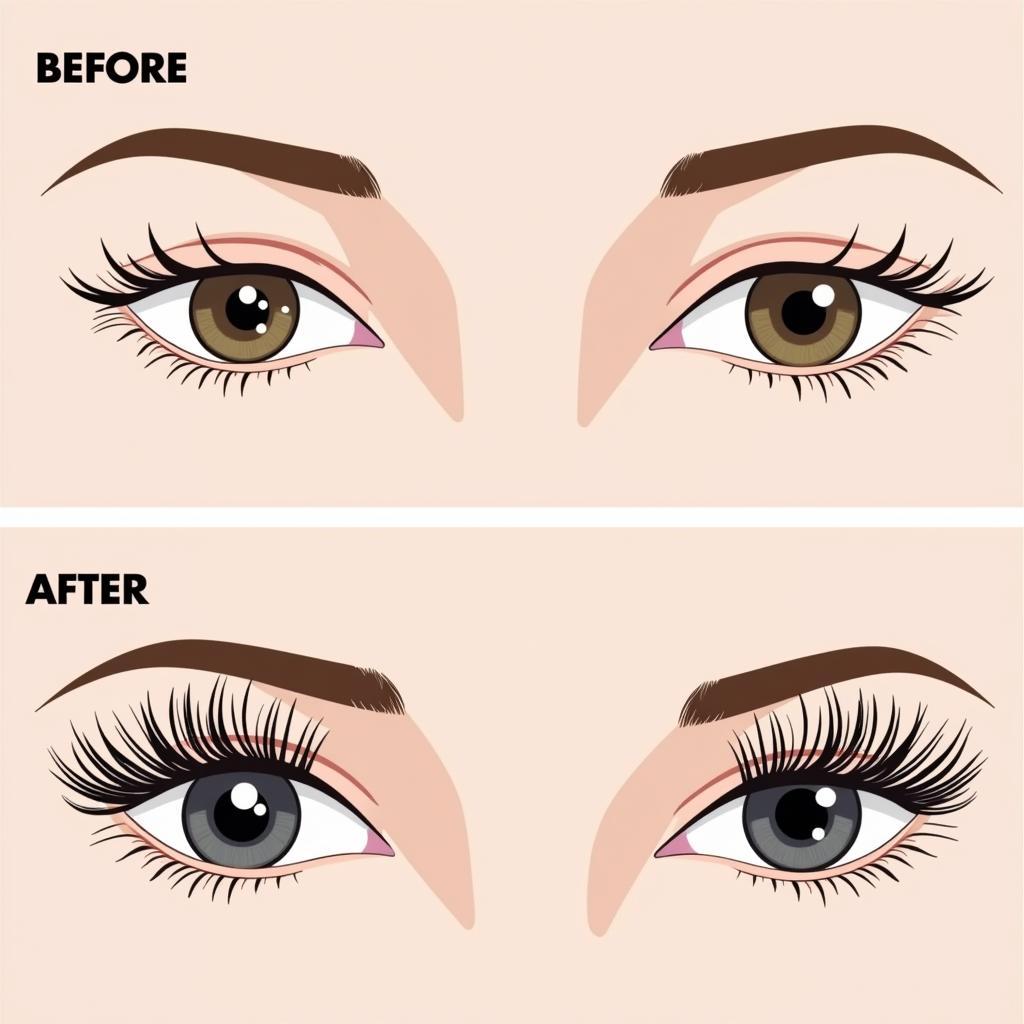 Lash Growth Cycle Comparison