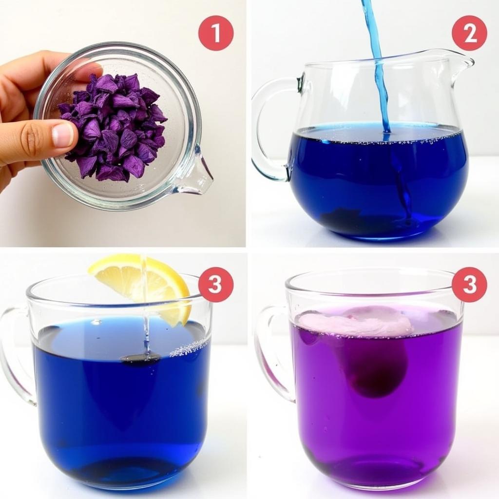 Preparing Butterfly Pea Tea and Observing the Color Change