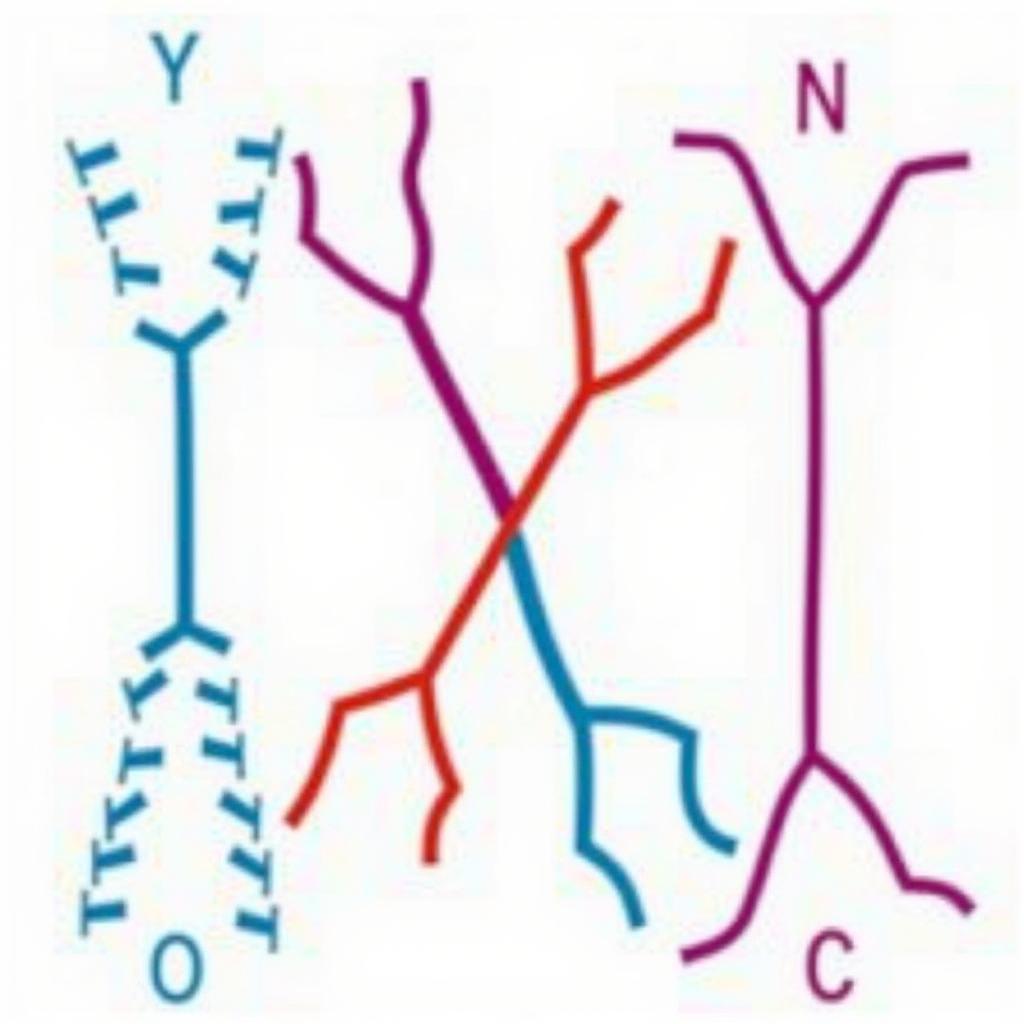 Men and Women Color Perception: The Role of Genetics