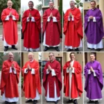 Palm Sunday Vestment Color Variations