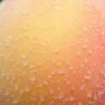 Close-up of peach fuzz, showcasing its delicate texture and subtle color variations.