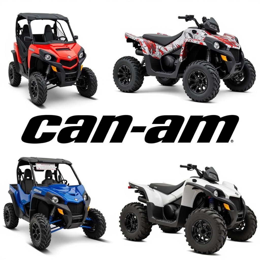 Personalized Can-Am Accessories and Color Schemes