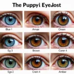 Puppy Eye Color Development Stages