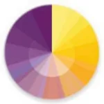 Purple and Yellow on the Color Wheel