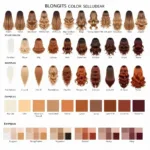 Seasonal Color Analysis Chart for Spring, Summer, Autumn, and Winter