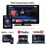 Streaming Colorado Games Online via Various Platforms