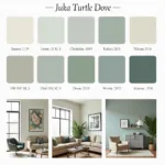 Turtle Dove Color Variations