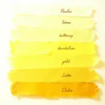 Yellow Laundry Spectrum: From Pale to Deep