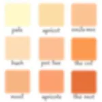 Color palette showing different shades of apricot, labeled with names like pale apricot, apricot blush, and deep apricot.