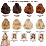 Comparing Different Hair Colors for Grey Coverage