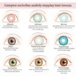 Colored Contact Lenses for Eye Color Change