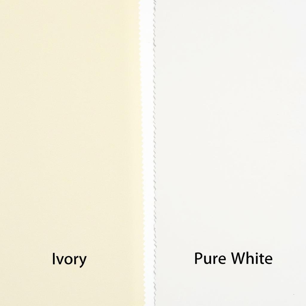 Ivory Undertone Comparison